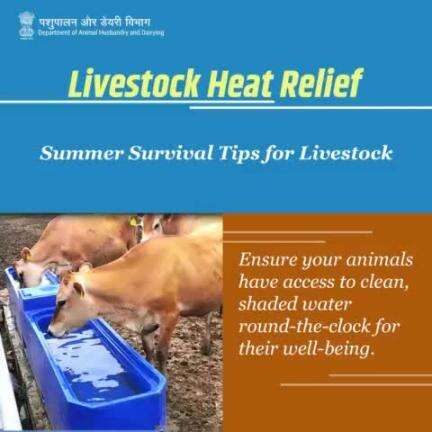 Beat the heat! 
 Keep your livestock cool and comfortable by providing access to clean, shaded water 24/7. 
#LivestockHeatRelief #SummerSurvivalTips