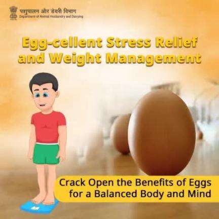 Need stress relief and weight management?
Crack open the benefits of eggs for a balanced body and mind!
#EggBenefits #WeightManagement #HealthyLiving #BalancedNutrition