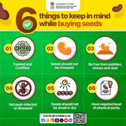 Healthy #Seeds are Key to Healthy #Crops!

Here are 6 things #farmers need to keep in mind while buying seeds as good quality & healthy seeds leads to healthy produce & thriving yields.