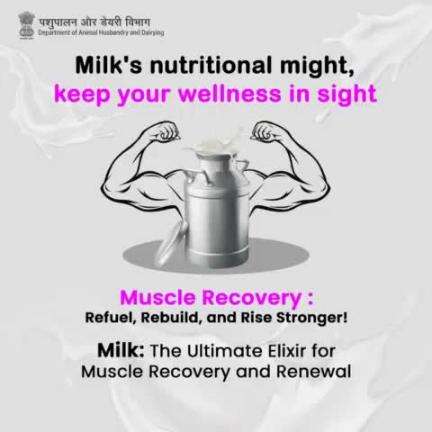 Milk: Your Ultimate Muscle Recovery Buddy! Packed with Protein and Essential Nutrients, it's the Perfect Post-Workout Fuel to Aid in Repair and Replenishment. 💪🥛 #MuscleRecovery #MilkPower #PostWorkout