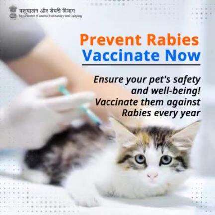 Prioritize your pet's safety and well-being! 
Ensure they're protected by vaccinating them against Rabies every year. 
#PreventRabies #vaccinatenow