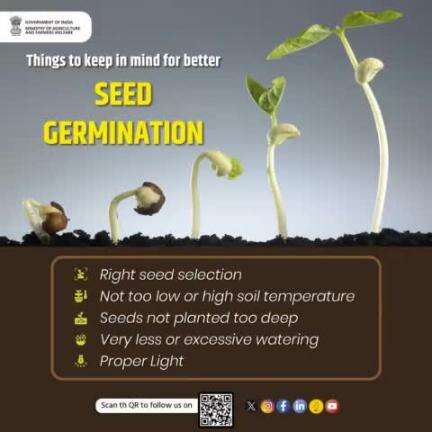 Seed germination plays a vital role in the transition from seed to #crop. Better seed germination results in better yields, provided certain factors are considered. Here are a few key aspects to keep in mind for a better seed #germination.