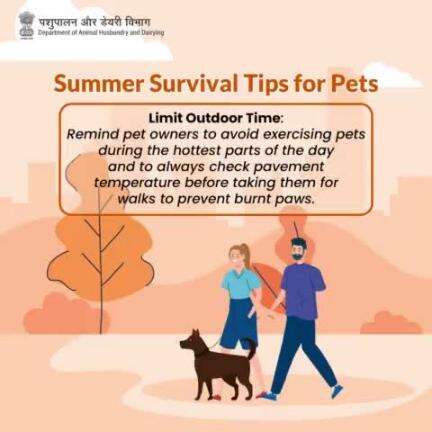 Stay safe in the sun: Protect your pets from heat exhaustion by limiting outdoor activities to cooler times of the day and checking pavement temperature before walks to prevent burnt paws.
#heatstressawareness #LivestockHealth