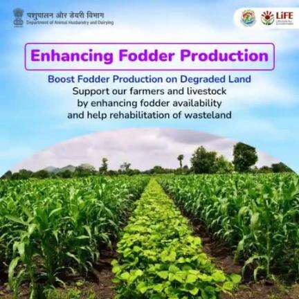 Boost fodder production on degraded / wasteland/ rangeland/ grassland/ non- arable land and support our farmers and livestock by enhancing fodder availability. #WorldEnvironmentDay #MissionLiFE #SustainableFarming #FodderProduction