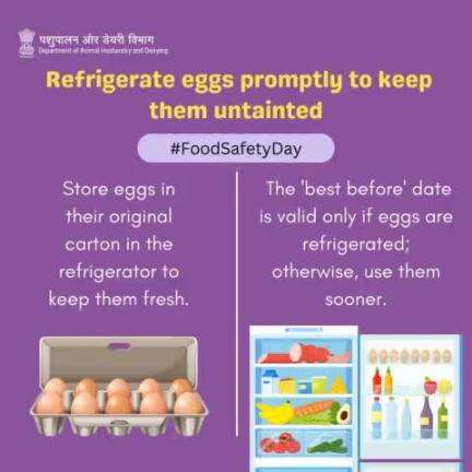 Keep Eggs Fresh: Refrigerate Promptly for Untainted Enjoyment!  Store in their original carton in the fridge for freshness. Remember, the 'best before' date is valid only if refrigerated. Keep cool for longer-lasting eggs!
#FoodSafety