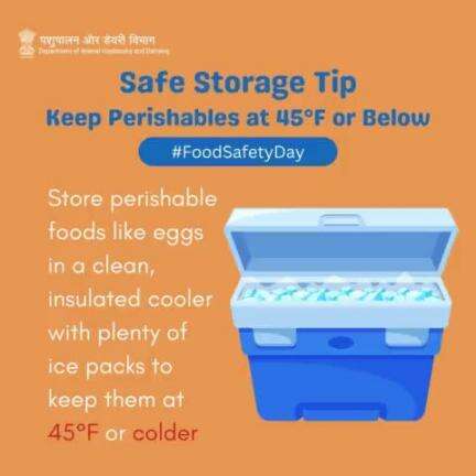 Chill Out for Safety: Keep Perishables Fresh!
Store foods like eggs in a clean, insulated cooler with ample ice packs. Maintain a temperature of 45°F or below to ensure freshness and safety.
#FoodSafety #KeepItCool #PerishableGoods