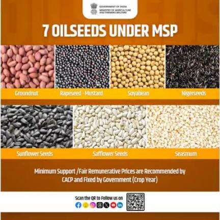 Oilseeds fueling India’s Agri-Economy!

#Groundnut, Rapeseed-Mustard, #Soyabean, #Nigerseeds, #Sunflower seeds, #Safflower seeds & Seasmum are the seven #oilseeds covered under #MSP.