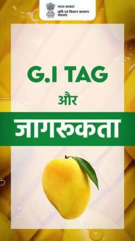 जीआई और जागरूकता!
. 
आमों का राजा अल्फांसो को जीआई टैग कब मिला और क्यों? आइए जानते हैं इस वीडियो में..

#agrigoi #alphonsomango #GITag