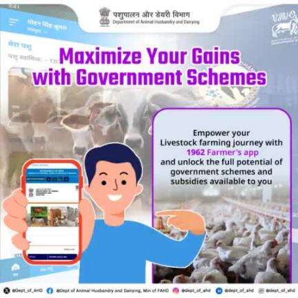 Enhance your Livestock farming journey with 1962 Farmer’s  App! and tap into government schemes and subsidies.
Unlock the full potential of available support systems and maximize your gains today!
#BharatPashudhan #GovernmentSchemes