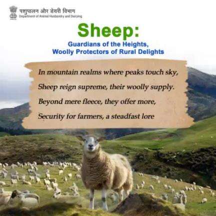 In the rugged terrain of mountainous regions, sheep reign supreme, providing not just wool and meat, but also a sense of security for farmers. 
#SheepFarming