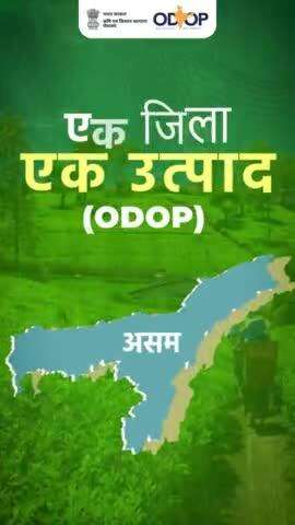 एक जिला, एक उत्पाद योजना से स्थानीय स्व-रोजगार को मिला बल, असम राज्य के प्रत्येक क्षेत्र के किसानों का सुनहरा हो रहा आने वाला कल!

#agrigoi #ODOP #OneDistrictOneProduct #Assam #agriproducts #vocalforlocal