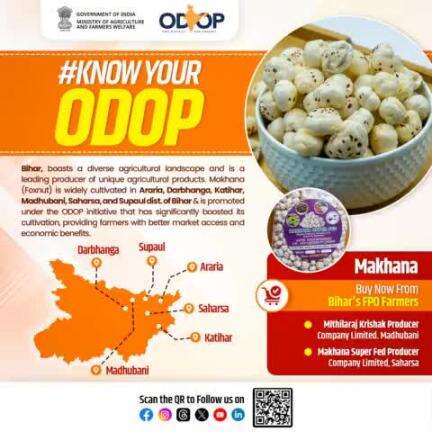 Did you know? Makhana (Lotus Seed) is the #ODOP of multiple districts of Bihar. Choose local and support Bihar’s FPO farmers who are committed to preserving their heritage & advancing the ODOP initiative.