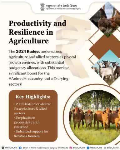 productivity and Resilience in Agriculture 🚜🌾
The 2024 Budget allocates ₹ 1.52 lakh crore for agriculture & allied sectors, marking a significant boost for #AnimalHusbandry and #Dairying.