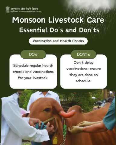 Ensure your livestock stays healthy this monsoon! Schedule regular health check-ups and vaccinations, and avoid self-medicating. Stay vigilant for any signs of illness.
#AnimalCare #MonsoonSafety