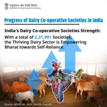 India's dairy cooperative sector is thriving with 2,31,991 societies, playing a crucial role in making Bharat self-reliant in dairy production.
#AtmanirbharBharat #DairyCooperatives #AnimalHusbandry