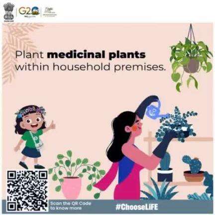 #ChooseLiFE #MissionLiFE #ProPlanetPeople
घर के परिसर में औषधीय पौधे लगाएं 
#railminindia
#moefcc
#gmblw