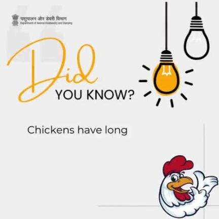 Who says chickens aren't the brainy bunch of the barnyard?
Did you know they can remember up to 100 faces, humans included?
#polutry #animalhusbandry