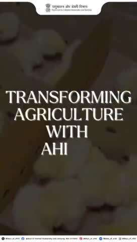 Discover the benefits of AHIDF for your project! 
With up to 90% loan coverage, convergence with subsidy schemes, and a simple online application process, empowering your business has never been easier.
#ahidf #animalhusbandry