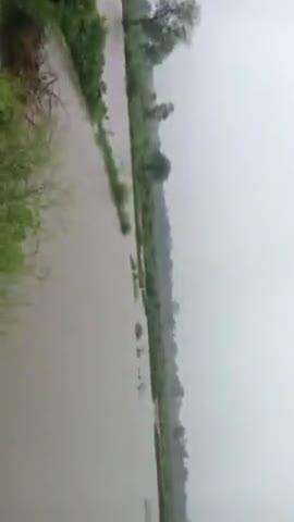 khannath gav me barish hone ke karan phasal Ghar sab dub rahe hai