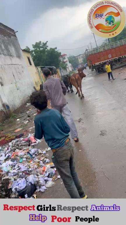 कोई दुआ करो मेरे लाइ 🤲🏻

Respect Girls help poor help animals 

#apsgurjar #help #dog