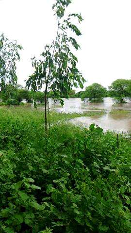 Patna gaon kalraj Raat 
derva barish ke bad