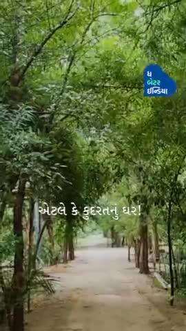 25 વર્ષ મહેનત કરી ઉગાડયું Mini Jungle | Couple Made Mini Jungle In Gujarat

#changemaker #environmenthero #plantation