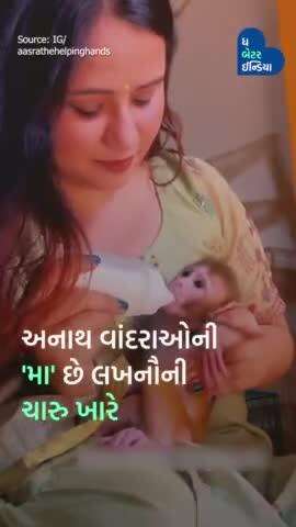 અબોલ પ્રાણીઓની માતા - ચારુ ખારેને મળો| #AnimalRescue| #Shelterhome| #Kindness