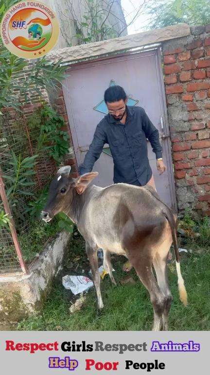 कुछ लोगो ने बोला गाये नही बचेगी…
मेने बोला बचा के रहुगा 🐄

Respect Girls help poor help animals 

#apsgurjar #help #cow #viral #love