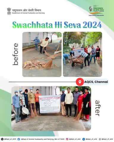 The officials of Animal Quarantine and Certification Services (AQCS) Chennai, actively participated in the #SwachhtaHiSeva2024 campaign by conducting a cleanliness drive behind the residential quarters of the office campus.