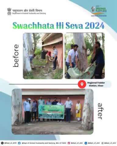 Joining forces for a cleaner India!
Officials from Regional Fodder Station, Hisar, participated in #SwachhtaHiSeva2024, cleaning up office premises. 
#SwachhBharat #CleanIndia #Sustainability #DAHD