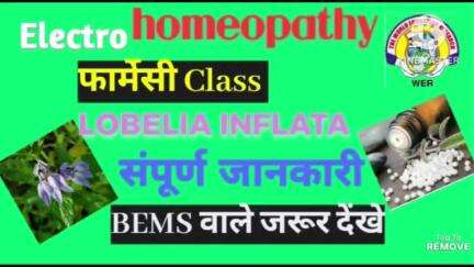 #Lobelia inflata इलेक्ट्रो होम्योपैथी की औषधि
#DEHM,BEMS,MD(EH),PHD
#THE WORLD EDUCATION RESEARCH 
CONTACT 94720 58415