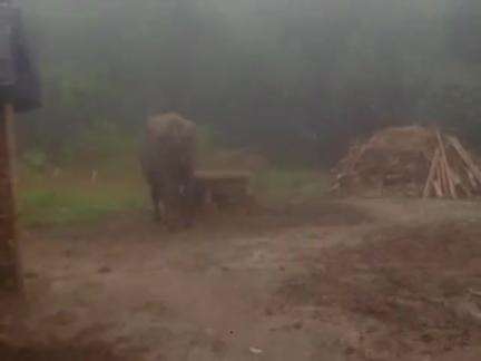 जिला मधेपुरा उदाकिशुनगंज गामा हरैली नामा अरविंद कुमार वेडा3पंचायत रामपुर खोरा  वैरीफाई वे सबामिट करें #2024