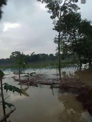 sahebganj samachar &6lakh 61hajar qusek water discharge ho ga ya hii