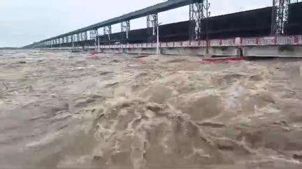 नेपाल में बारिश से बिहार में हाई अलर्ट, कोसी-गंडक से तबाही का खतरा 
#BiharFlood #flood #kosi #gandakiriver #weather