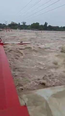 नेपाल में बारिश से बिहार में हाई अलर्ट, कोसी-गंडक से तबाही का खतरा 
#BiharFlood #flood #kosi #gandakiriver #weather