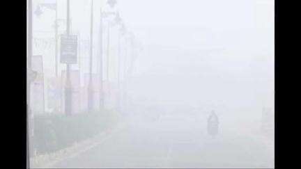 सुबह के कोहरे से सावधान, बरते सड़कों पर सावधानियां #fog #weatherupdate #Rajnandgaon