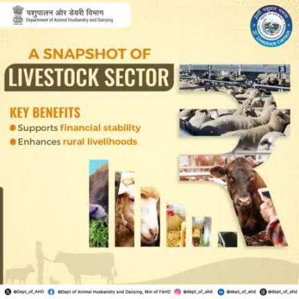 The livestock sector is a backbone for millions! 
Supporting financial stability and enhancing rural livelihoods, it plays a key role in the economy and sustains countless families across India. 
#Livestock #RuralDevelopment