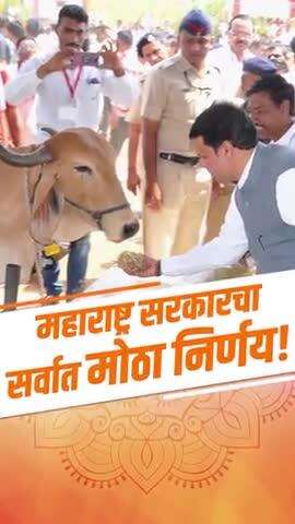 देशी गाय आता 'राज्यमाता-गोमाता' | कोल्हापूर | 30 सप्टेंबर 2024
#RajyaMata #Gaumata #DevendraFadnavis #Maharashtra