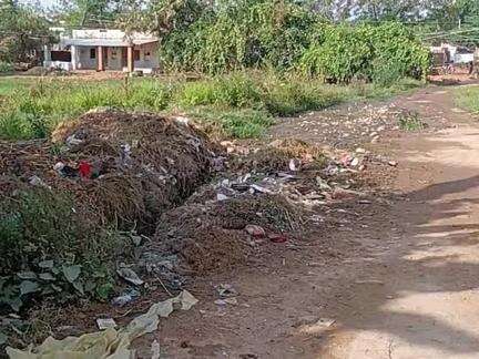 gram berkheda tehsil narwar jila shivpuri me swachta par koi  dhyan nahi Diya ja raha h sarkar se apeel  h 
arvind kolii