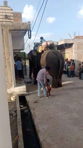 Ashok Nagar Budh vihar colony 
main huye haathi maharaj ke darshan