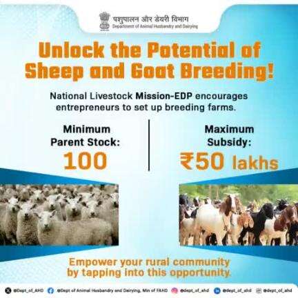 The National Livestock Mission-EDP supports entrepreneurs to set up breeding farms with a maximum subsidy of ₹50 lakhs. Start with a minimum parent stock of 100 and empower your rural community!
#SheepFarming #GoatFarming #NLM