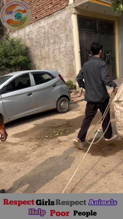 आज मेरी लड़ाई हो गई एक आंटी 
से पर मैने गाय का इलाज फिर भी किया 🙏🏻

Respect Girls help poor help animals 

#apsgurjar #help #viral