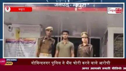 गोविन्दनगर पुलिस ने भैंस चोरी करने वाले आरोपी नदीम को किया गिरफ्तार, 21 हजार रुपये बरामद
#गोविन्दनगर #पुलिस #भैंस #चोरी