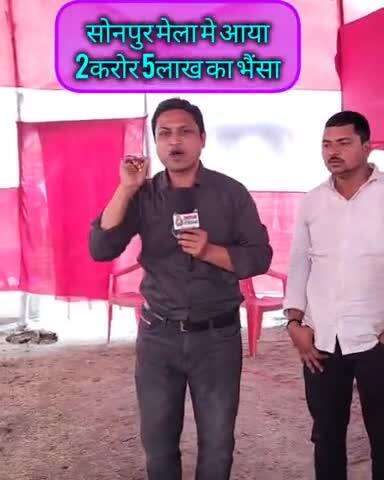 क्या आपको विश्वास होगा???
#sonpurmela2024 #hajipur #reels #viral #trending #dreamstreambihar #मेला #sonpur