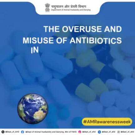 Misusing antibiotics in animals and humans leads to Antimicrobial Resistance (AMR), endangering the health of people, animals, plants, and the planet. Let’s act responsibly to protect our future.
 #OneHealth #AMR #WorldAMRAwarenessWeek