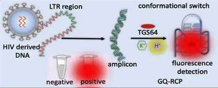 New technology developed for unambiguous detection of HIV genome using tailored fluorogenic tests

More details :https://pib.gov.in/PressReleasePage.aspx?PRID=2075042