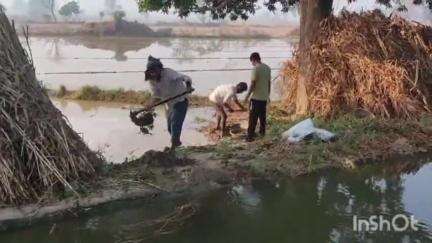 टूंडला: दूसरे दिन फिर कटा कातिकी माइनर, किसानों की 30 बीघा गेहूं की फसल जलमग्न हुई