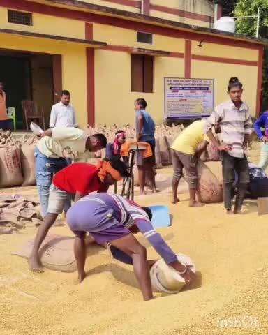 जगदलपुर: राज्य सरकार की धान खरीदी नीति से कृषकों में उत्साह, सरगीपाल और साढ़गुड़ के किसानों ने दिया धन्यवाद