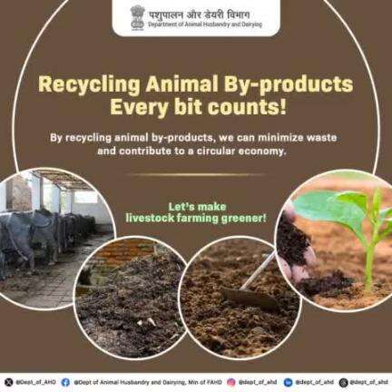 Recycling animal by-products minimizes waste and contributes to a circular economy. Let’s make livestock farming more sustainable and environmentally friendly!
 #Recycling #WasteManagement #SustainableFarming #ecofriendly