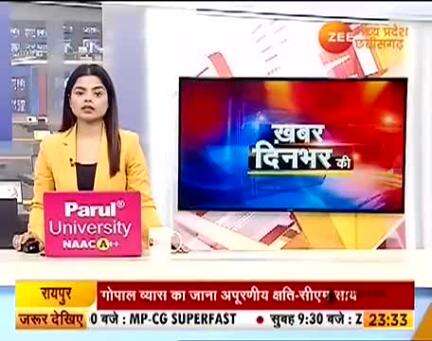 ग्रामीणों ने वनकर्मियों पर लगाया मारपीट का आरोप, एडिशनल एसपी, DFO से शिकायत